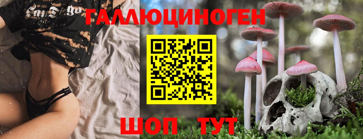 Галлюциногенные грибы мицелий Тельмана