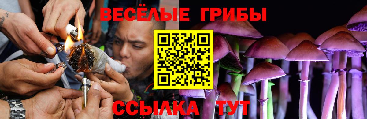 Тельмана  Галлюциногенные грибы GOLDEN TEACHER  Вход с VPN 
